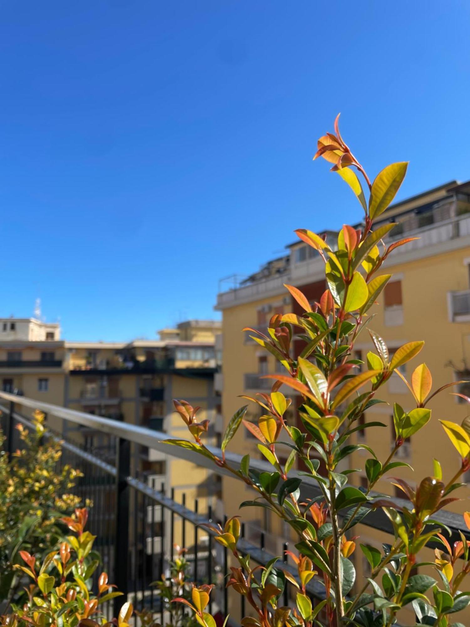 Apartament Terrazza L Emiro Casa Vacanze Palermo Zewnętrze zdjęcie